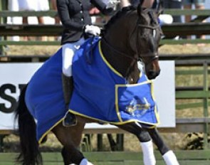 Anna Svanberg and Revolution won the young horse class at the 2014 CDI Falsterbo :: Photo © Ridehesten.com
