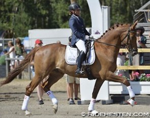 Anne Troensegaard and Litvinenko Sjælstofte at the 2014 CDI Falsterbo :: Photo © Ridehesten
