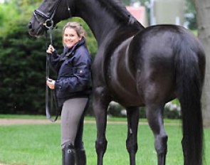 Tia Roma (by Donnerhall x Rubinstein)