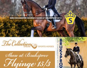 DreamSportsHorses will show case a part of its dressage horse collection at the 2014 Swedish Warmblood Stallion Licensing in Flyinge on 15 March 2014
