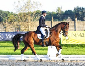 Hungarian young rider Barnabas Gemes on Ballentino