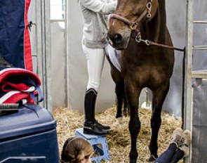 At work in the stable area