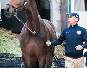 Steffen Peters and Legolas arrive at the Schindlhof where the 2014 CDI Fritzens is being held :: Photo © Alessandra Sarti