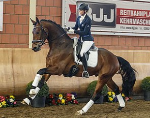 Kiefferhof's Imperius