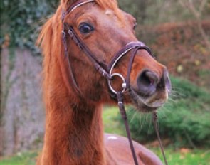 Shynoon at age 30