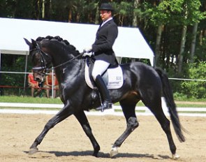 Stefan Puschmann on Dr. Q
