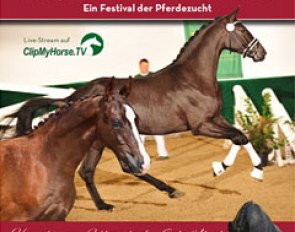 The 2014 Rheinland-Pfalz-Saar Stallion Licensing in Zweibrucken
