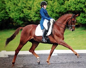 Jessica Blackmore and Don Diego at the 2014 British Youth Riders Championships 