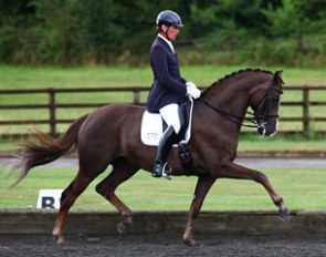 Emile Faurie on Jessica Greelish's Cavalia