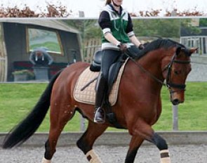 Phoebe Peters aboard Charlotte Dujardin's 5-year old KWPN bred Edison H
