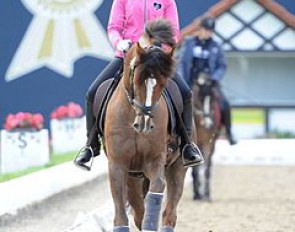 Paulina Holzknecht schooling Carlos