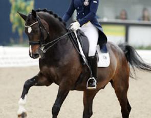 Sofie Lexner on Charming Boy at the 2014 CDI Hagen :: Photo © Astrid Appels