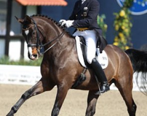 Hubertus Schmidt on one of his new Grand Prix horses, Donnero, a 13-year old Westfalian by Donnerhall x Werther