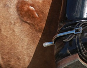 Example of spur lesion