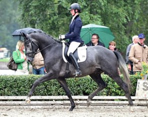 Hopkins is part of the outstanding collection of young sport horses to be auctioned at the 2014 Trakehner Stallion Market