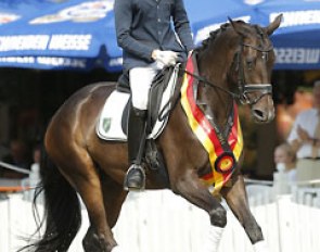 Hannes Lutt and Inclusive at the 2014 Trakehner Championships :: Photo © Stefan Lafrentz