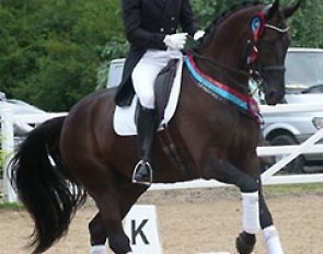 Anders Dahl and Selten HW sweeped the small tour at the 2014 CDI Hartpury on 11 - 13 July 2014
