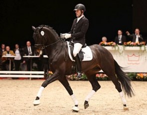 JJ Zinfandel was the best selling licensed stallion at the 2014 Danish Warmblood spring auction