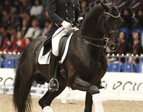 Michael Sogaard and Hoftanz in the Grand Prix Kur at the 2014 Danish Warmblood Stallion Licensing :: Photo © Ridehesten