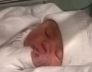 Newborn baby boy, Brent van Lieren