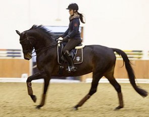 Antonia Galfy on Heaven's Dark Lady
