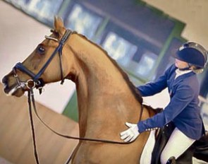 Alice Campanella and Varisto at the national show in Lombardia (Italy) in February 2014