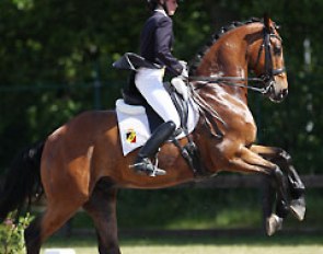 Amandine Prevost struggled to collect her big moving Rhinelander Lacoste (by Lord Sinclair x Weltmeyer), also in the tempi changes