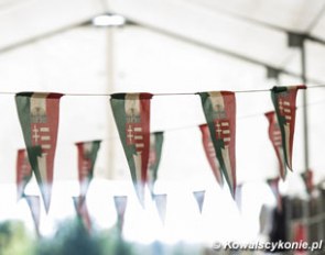 Hungarian flags in the Kaposvar stables