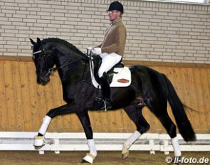 Heiko Klausing aboard the Oldenburg licensed 3-year stallion Tolegro (by Totilas x Krack C x Ferro x Variant) :: Photo © LL-foto