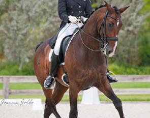 Alexandra Duncan and Vitall at the 2014 CDN Loxahatchee :: Photo © Joanna Jodko