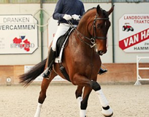 Jeroen Devroe and Eres DL at a clinic in Moerzeke, Belgium :: Photo © Sharon Vandeput