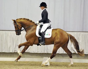 Villeneuve (by Vitalis x Dancier) :: Photo © Sabine Wegener