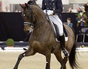 Patrik Kittel and Wladimir OA at the 2014 CDN Munster :: Photo © Lyndal Oatley