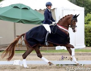 Stefanie Wolf and For Comtess won the 6-year old BuCha qualifier at the 2014 Westfalian Regional Championships :: Photo © LL-foto