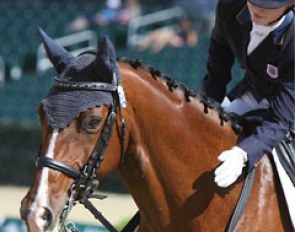 Catherine Chamberlain and Verdicci at the 2014 North American Junior/Young Riders Championships