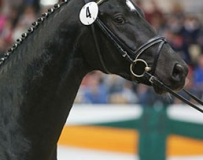 Donauabend (by Abendtanz x Lauries Crusador xx)