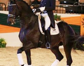 John Tyssen and Easy Game at the 2014 Trakehner Stallion Licensing in Neumunster :: Photo © LL-foto
