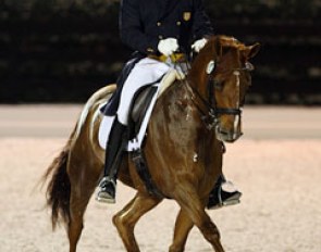 Michael Barisone on Ellegria