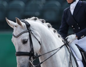 Megan Glynn on Tyto