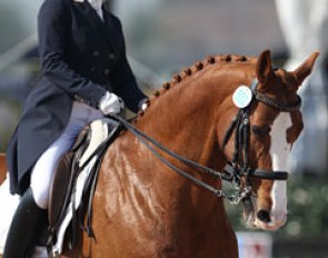 Amy Walker-Basak on Wagner