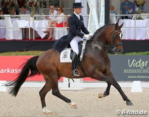 Borja Carrascosa and Hicksteadt at the 2014 CDI Perl :: Photo © LL-foto