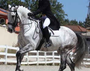 Sarah Warne patting Batialo :: Photo © Marta Guedes Vaz