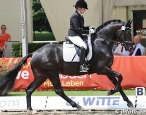 Katrin Burger and Santo Dottore at the 2014 Oldenburg Regional Championships in Rastede :: Photo © LL-foto