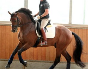 Riding for the U.S.A. at the 2014 World Young Horse Championships in Verden, Matt Johnson and Petersborg Qasanova (by Quaterback x Calypso II) are still in Europe for a few more days