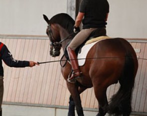 Qasanova has talent for the piaffe and showing some nice half steps