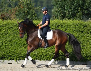 Steffen Peters on Legolas