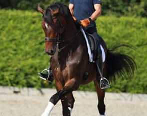 Steffen Peters and Legolas