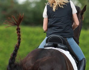 Pony and horse tail