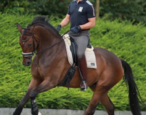 Dutch born Rob van Puijenbroek and Seymour represented Belgium at the 2014 World Young Horse Championships in Verden last week. 