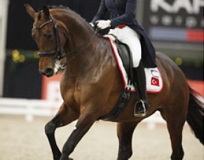 Lina Uzunhasan and Donna Ray at the 2014 CDI Roosendaal Indoor :: Photo © Digishots.nl